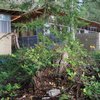 002hood-canal