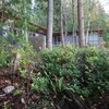 003hood-canal